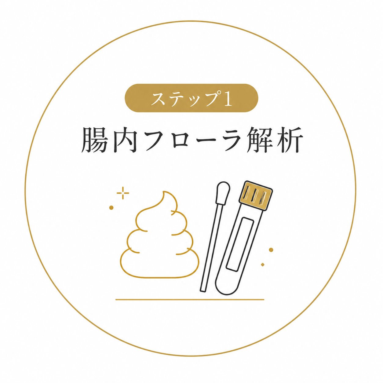 腸内フローラ解析